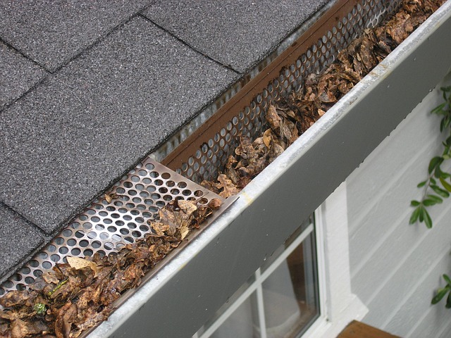 gutter-guard-ipswich-2434467_640 A Complete Guide To Roofing Contractors: Increase Lifespan Of Your Roof (2025)