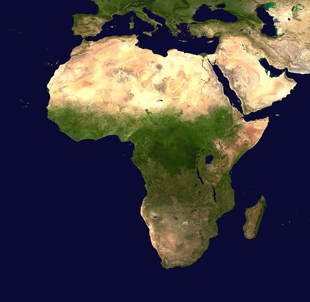 africa-60570_640 🦍 Gorilla: Secrets Of The Gentle Forest Giant (2025)
