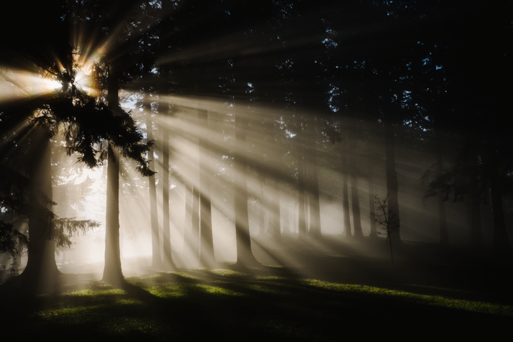 image-39-1024x683 Anheihe: Embracing Light, Darkness, and Life’s Balance (2025)
