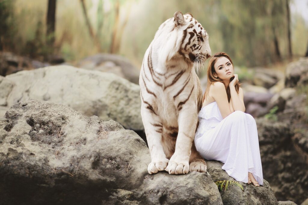 nature-3106213_1280-1024x682 Tigers: Hidden Strengths & Survival Struggles Revealed (2025)